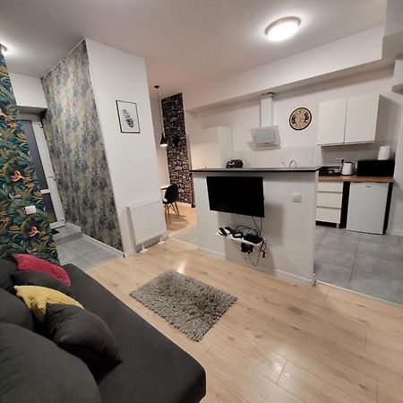 Apartamenty Cieplicka 20 Jelenia Góra Kültér fotó