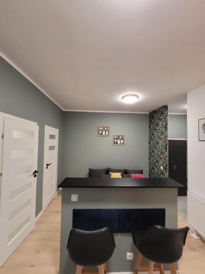 Apartamenty Cieplicka 20 Jelenia Góra Kültér fotó